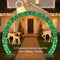 Best Choice Products Outdoor Christmas Lighted Archway Decoration, Large 9.5ft w/Gold Ornament Cap, 330 LED Lights, Holiday Yard Décor